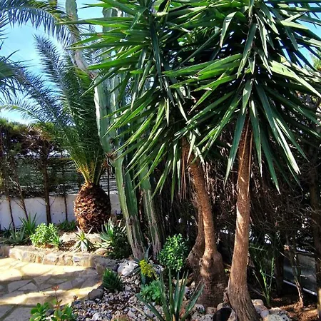 Vila Casa Buganvilla