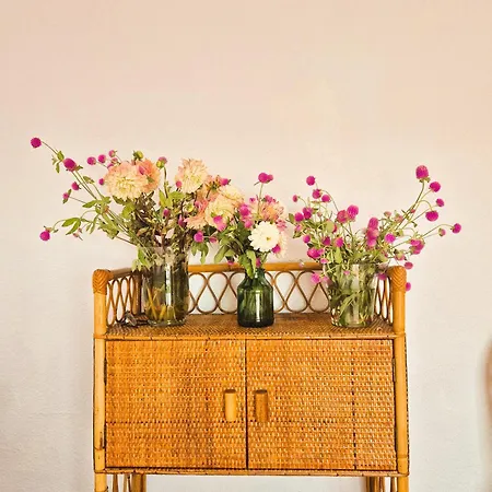 Casa Buganvilla Βίλα L'Ametlla de Mar