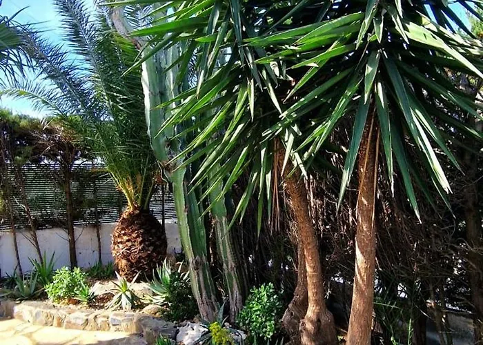 ヴィラ Casa Buganvilla