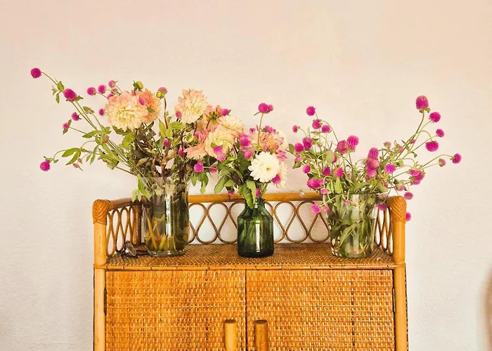 Casa Buganvilla Villa L'Ametlla de Mar